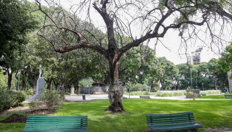 PARQUE PATRICIOS
